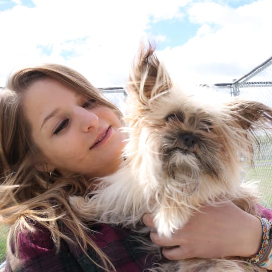 A person holds a small, long-haired dog.