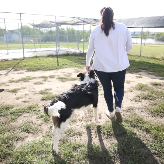 A person walks outside with a medium-sized dog