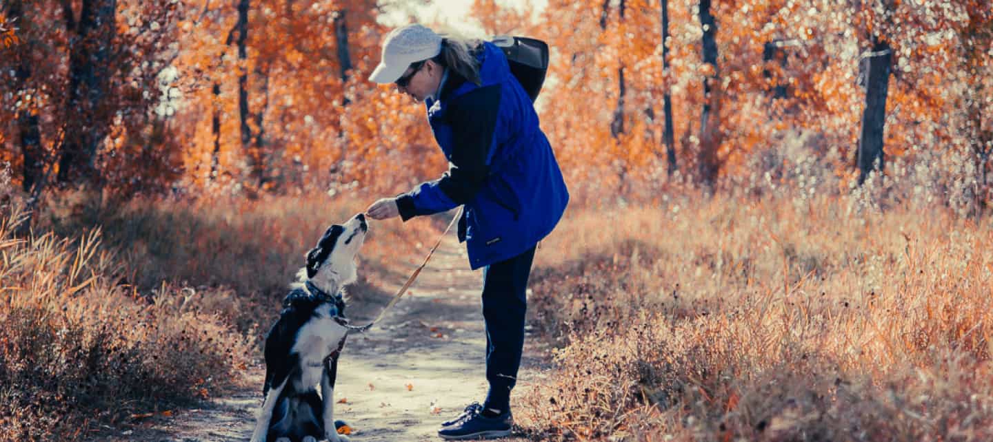 A person gives a treat to a dog outdoor on a wooded trail.