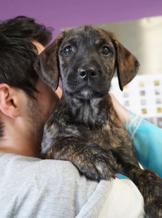 Man holding dog at the vet