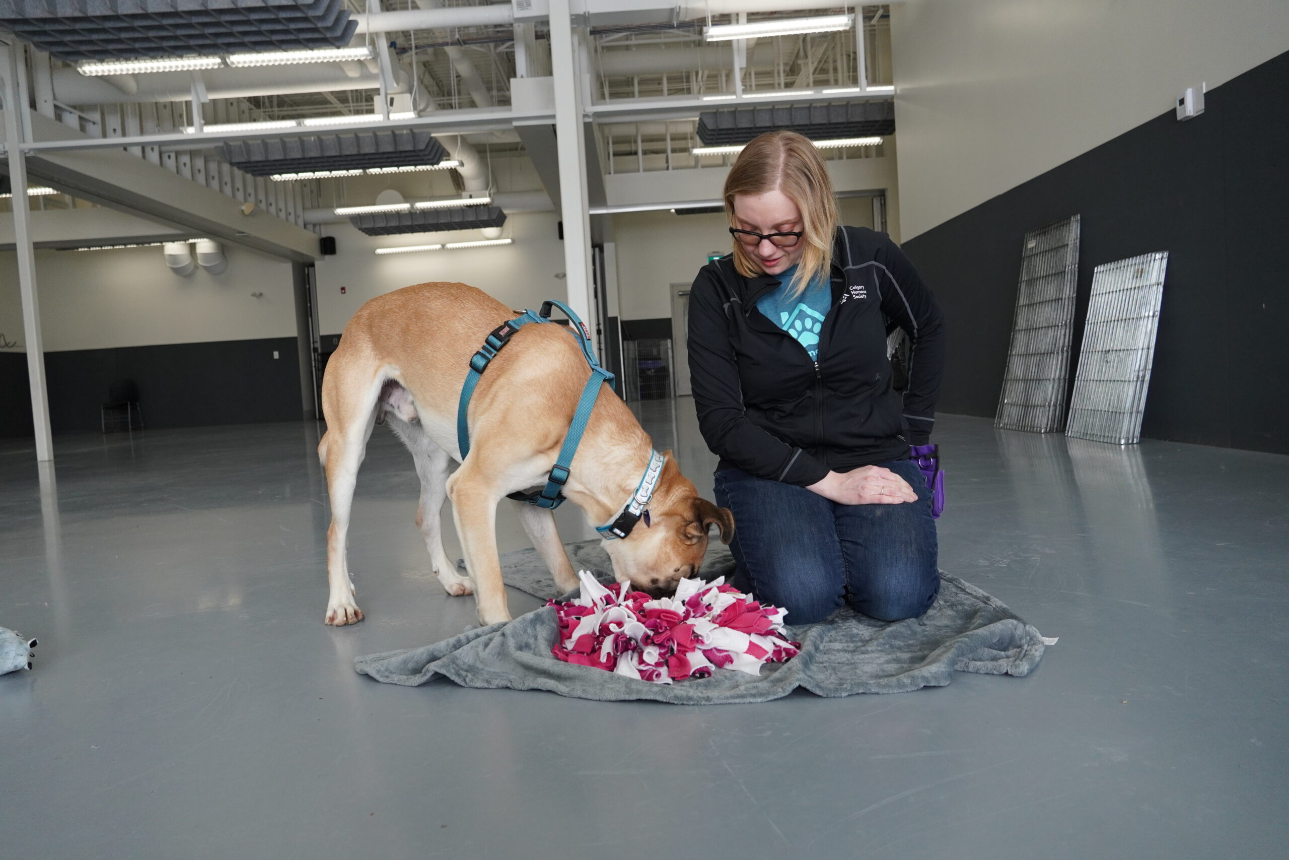 Humane Raning Animal Humane Society Training – ITEG