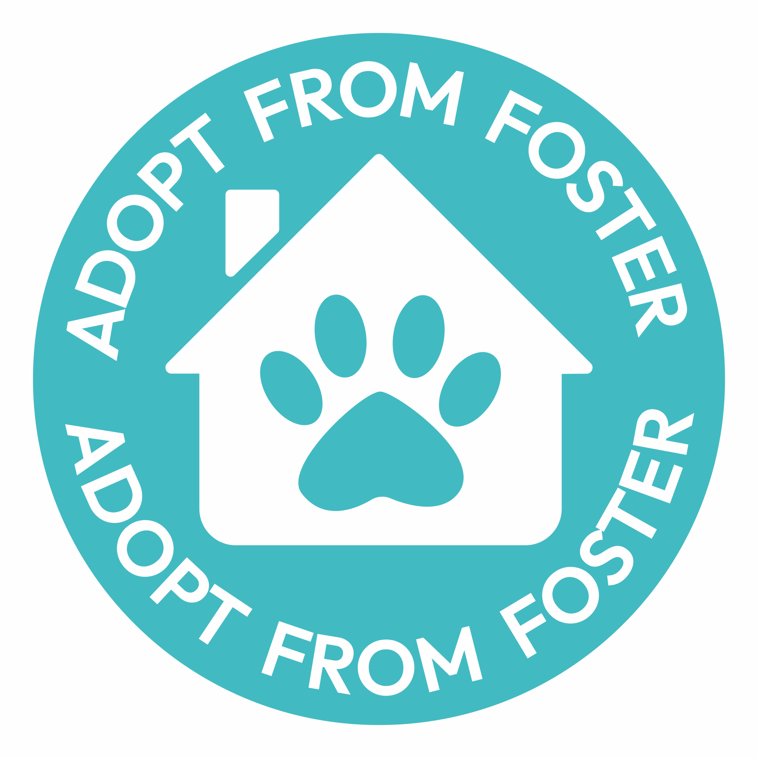 Adopt From Foster