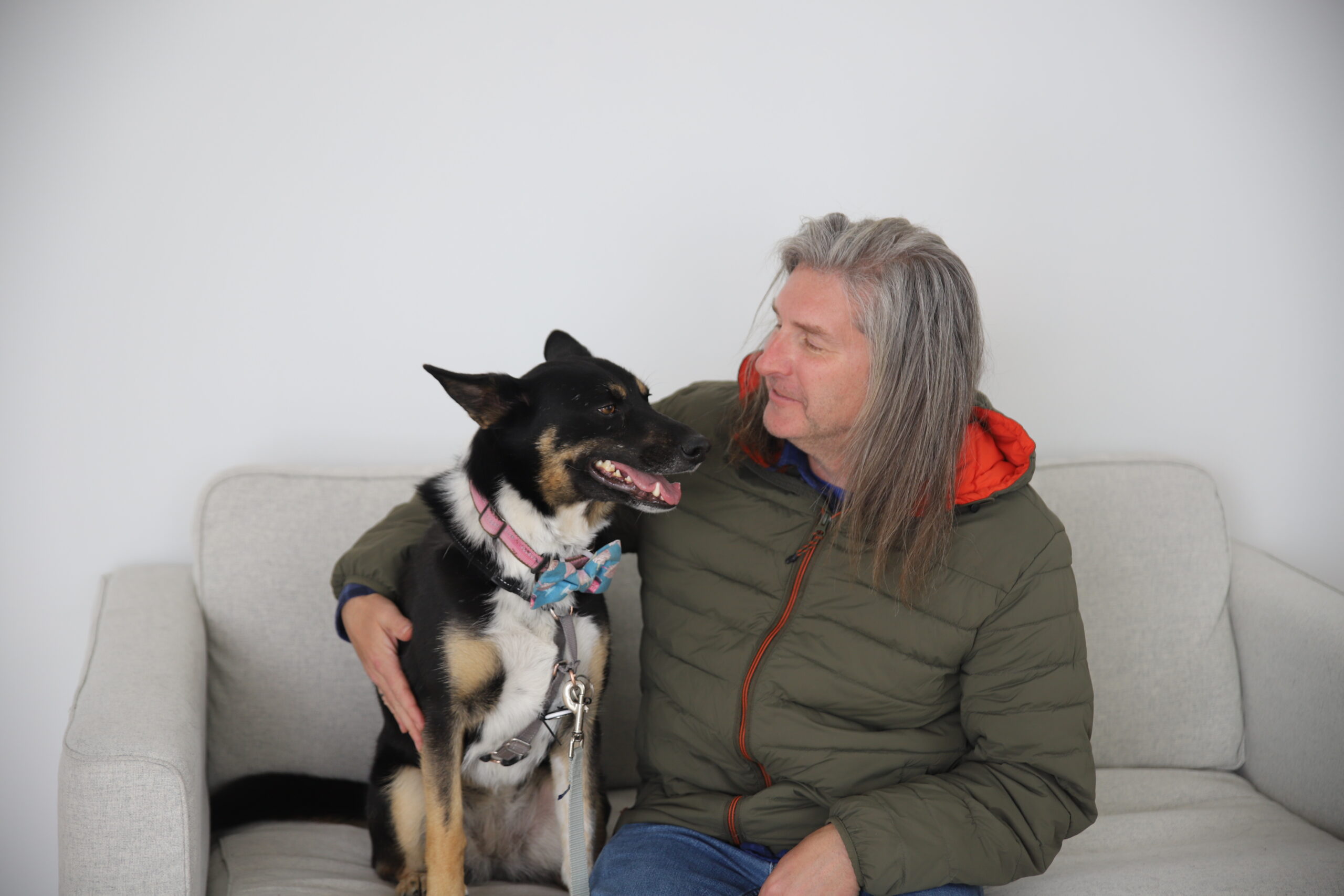Sadie-Lady relaxing or playing in her foster home
