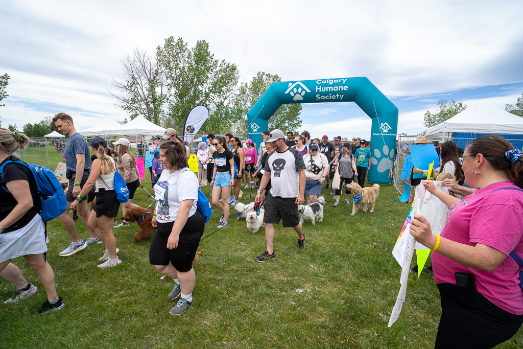 Calgary Humane Society Dog Jog event